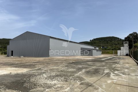 Erhvervsejendom i Abrantes, Santarem, Abrantes - € 600.000 | Ref: 059907 - foto 6