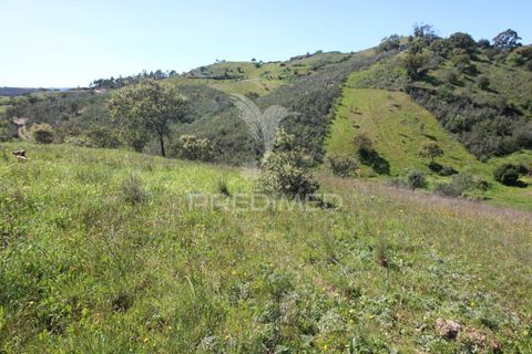 Helårsgrund i Silves, Faro, Silves - € 135.000 | Ref: 060095 - foto 6