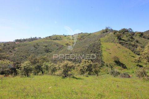 Helårsgrund i Silves, Faro, Silves - € 135.000 | Ref: 060095 - foto 10