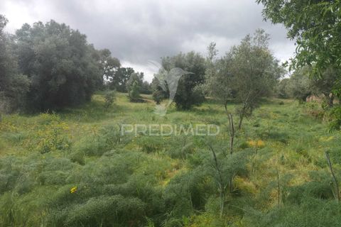 Helårsgrund i Almeida, Guarda, Almeida - € 20.000 | Ref: 060094 - foto 1