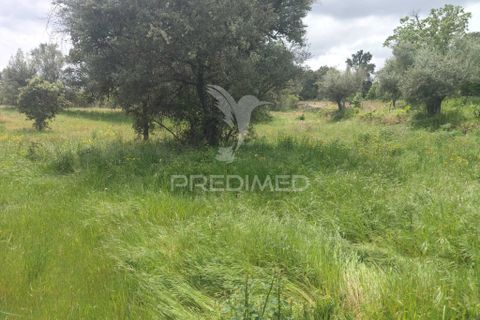 Helårsgrund i Almeida, Guarda, Almeida - € 20.000 | Ref: 060094 - foto 3
