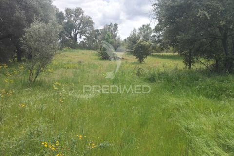 Helårsgrund i Almeida, Guarda, Almeida - € 20.000 | Ref: 060094 - foto 4