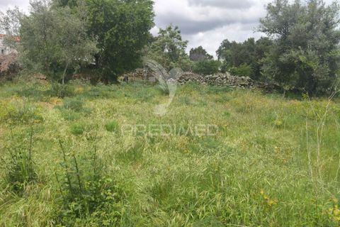 Helårsgrund i Almeida, Guarda, Almeida - € 20.000 | Ref: 060094 - foto 5