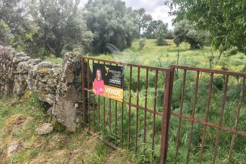 Helårsgrund i Almeida, Guarda, Almeida - € 20.000 | Ref: 060094 - foto 6