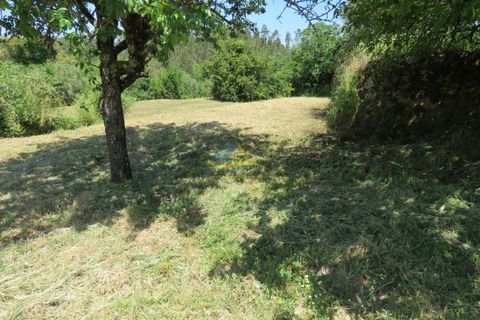 Farm hus i Penela, Coimbra, Penela - € 89.000 | Ref: ko2730 - foto 11