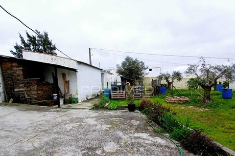 Byhus i Beja, Beja, Beja - € 230.000 | Ref: 060118 - foto 29