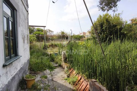 Byhus i Ilhavo, Aveiro, Ilhavo - € 250.000 | Ref: 060175 - foto 20