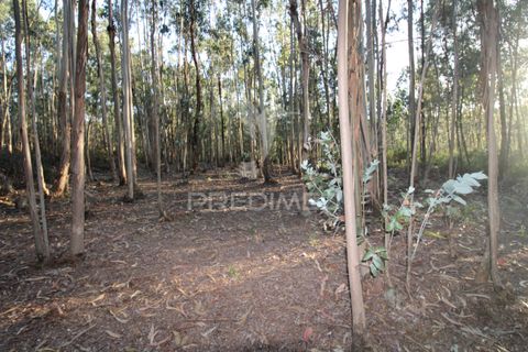 Helårsgrund i Penafiel, Porto, Penafiel - € 45.000 | Ref: 060186 - foto 3