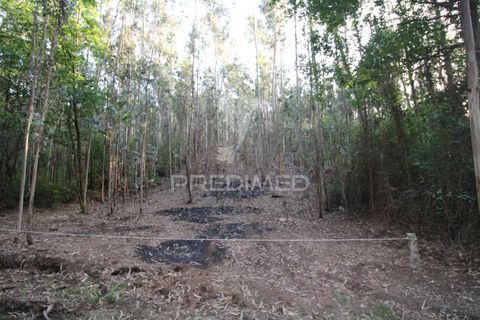 Helårsgrund i Penafiel, Porto, Penafiel - € 45.000 | Ref: 060186 - foto 5