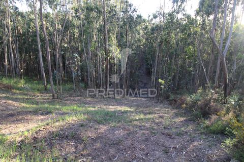 Helårsgrund i Penafiel, Porto, Penafiel - € 45.000 | Ref: 060186 - foto 7