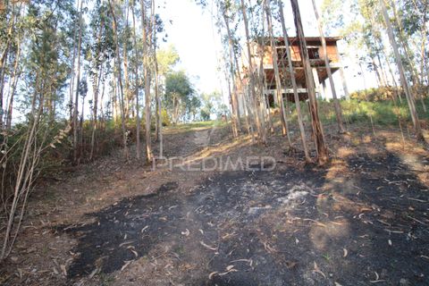 Helårsgrund i Penafiel, Porto, Penafiel - € 45.000 | Ref: 060186 - foto 9