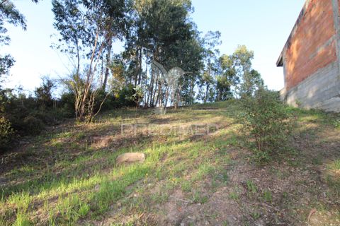 Helårsgrund i Penafiel, Porto, Penafiel - € 45.000 | Ref: 060186 - foto 10
