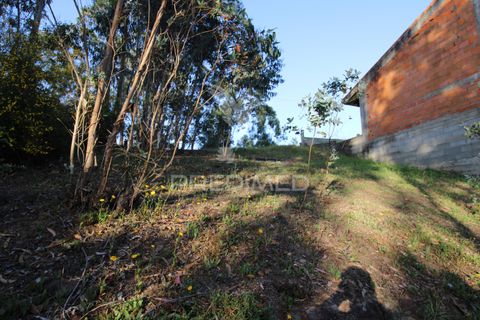 Helårsgrund i Penafiel, Porto, Penafiel - € 45.000 | Ref: 060186 - foto 11