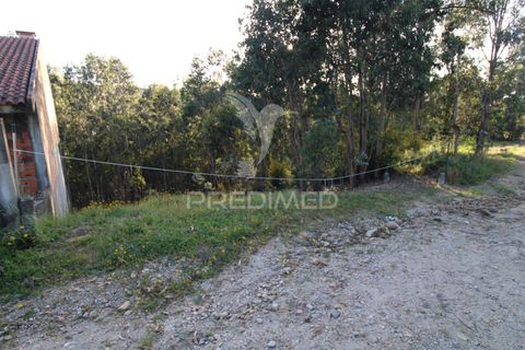 Helårsgrund i Penafiel, Porto, Penafiel - € 45.000 | Ref: 060186 - foto 12