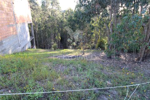 Helårsgrund i Penafiel, Porto, Penafiel - € 45.000 | Ref: 060186 - foto 13