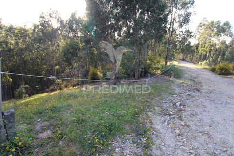 Helårsgrund i Penafiel, Porto, Penafiel - € 45.000 | Ref: 060186 - foto 14