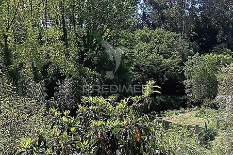 Byhus i Paredes, Porto, Paredes - € 135.000 | Ref: 060191 - foto 4