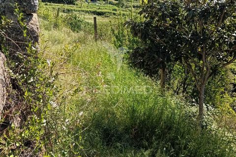 Byhus i Paredes, Porto, Paredes - € 135.000 | Ref: 060191 - foto 7