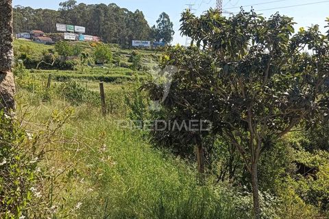 Byhus i Paredes, Porto, Paredes - € 135.000 | Ref: 060191 - foto 8