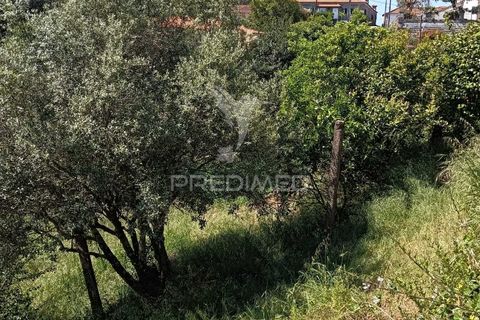 Byhus i Paredes, Porto, Paredes - € 135.000 | Ref: 060191 - foto 9