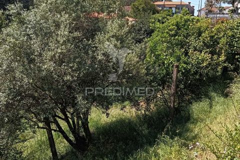 Byhus i Paredes, Porto, Paredes - € 135.000 | Ref: 060191 - foto 10