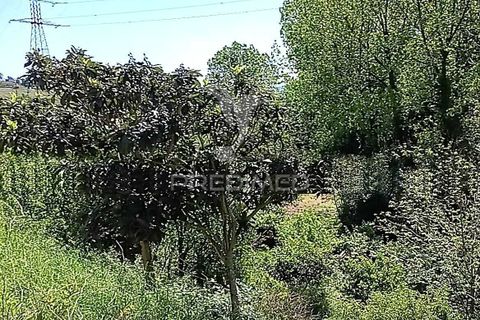Byhus i Paredes, Porto, Paredes - € 135.000 | Ref: 060191 - foto 13