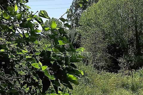 Byhus i Paredes, Porto, Paredes - € 135.000 | Ref: 060191 - foto 14