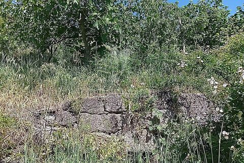 Byhus i Paredes, Porto, Paredes - € 135.000 | Ref: 060191 - foto 19