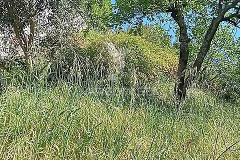 Byhus i Paredes, Porto, Paredes - € 135.000 | Ref: 060191 - foto 23