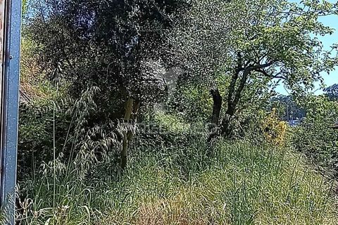 Byhus i Paredes, Porto, Paredes - € 135.000 | Ref: 060191 - foto 26