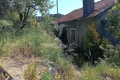Byhus i Paredes, Porto, Paredes - € 135.000 | Ref: 060191 - foto 28