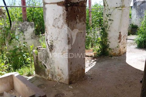 Byhus i Monforte, Portalegre, Monforte - € 125.000 | Ref: 060264 - foto 21