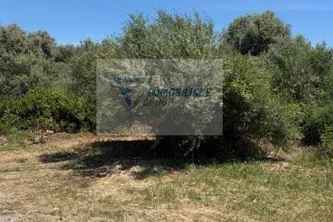 Helårsgrund i Siracusa, Siracusa, Siracusa - € 15.000 | Ref: RIF. BEL TCIT 52 - foto 3