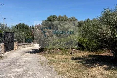 Helårsgrund i Siracusa, Siracusa, Siracusa - € 15.000 | Ref: RIF. BEL TCIT 52 - foto 4