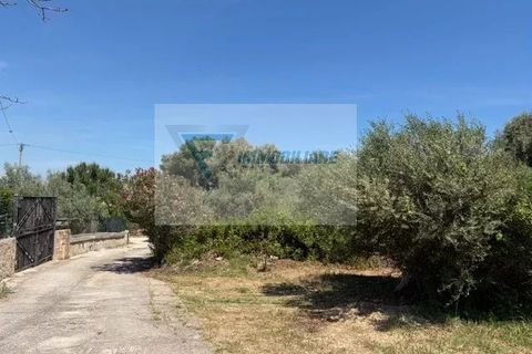 Helårsgrund i Siracusa, Siracusa, Siracusa - € 15.000 | Ref: RIF. BEL TCIT 52 - foto 6
