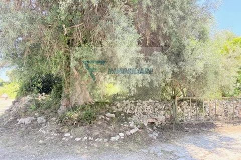 Helårsgrund i Siracusa, Siracusa, Siracusa - € 15.000 | Ref: RIF. BEL TCIT 52 - foto 7