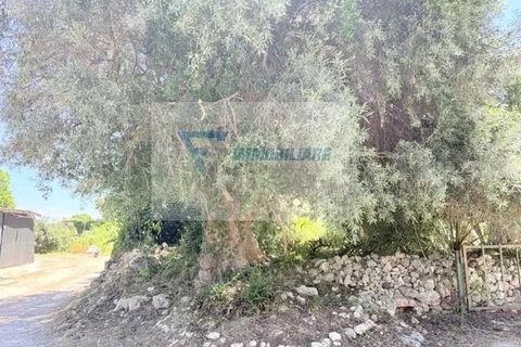 Helårsgrund i Siracusa, Siracusa, Siracusa - € 15.000 | Ref: RIF. BEL TCIT 52 - foto 10