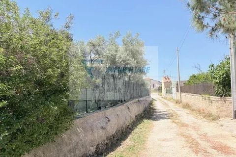 Helårsgrund i Siracusa, Siracusa, Siracusa - € 15.000 | Ref: RIF. BEL TCIT 52 - foto 11