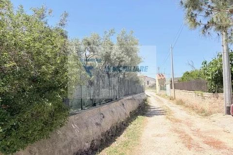 Helårsgrund i Siracusa, Siracusa, Siracusa - € 15.000 | Ref: RIF. BEL TCIT 52 - foto 12