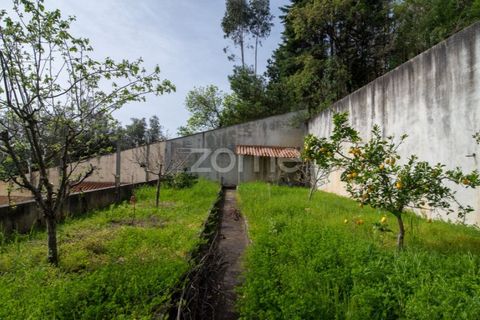 Villa em Cernache, Coimbra, Cernache - € 545.000 | Ref: ZMPT588351 - foto 19