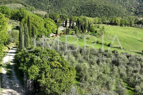 Villa i Baschi, Terni, Baschi - € 940.000 | Ref: CIVITELLA03 - foto 3