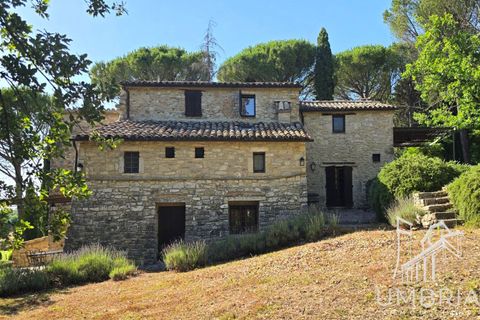 Villa i Baschi, Terni, Baschi - € 940.000 | Ref: CIVITELLA03 - foto 6