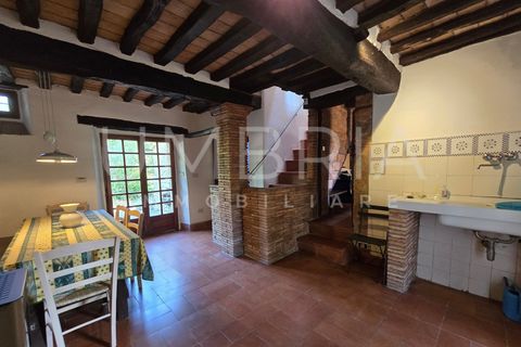 Villa i Baschi, Terni, Baschi - € 940.000 | Ref: CIVITELLA03 - foto 26