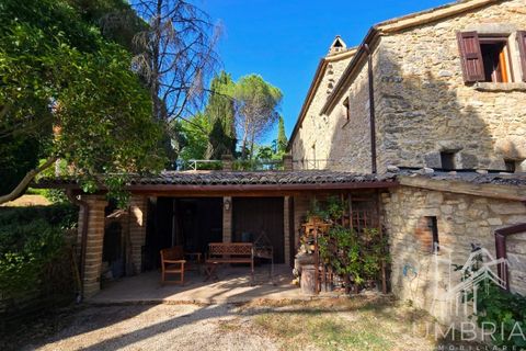 Villa i Baschi, Terni, Baschi - € 940.000 | Ref: CIVITELLA03 - foto 40