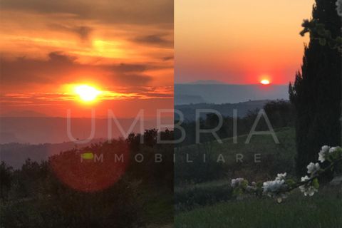 Villa i Baschi, Terni, Baschi - € 940.000 | Ref: CIVITELLA03 - foto 42