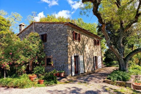 Villa i Baschi, Terni, Baschi - € 420.000 | Ref: Baschi10 - foto 44