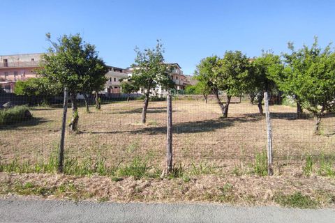 Helårsgrund i Maddaloni, Caserta, Maddaloni - € 300.000 | Ref: 69 - foto 6
