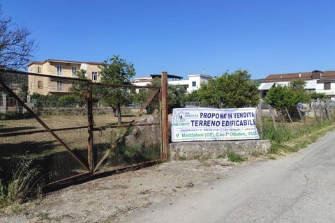 Helårsgrund i Maddaloni, Caserta, Maddaloni - € 300.000 | Ref: 69 - foto 11