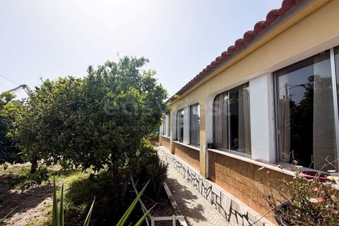 Villa i Quinta do Anjo, Setubal, Quinta do Anjo - € 499.000 | Ref: PN99145ES - foto 33