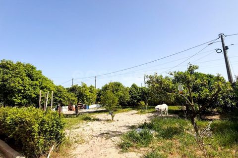 Villa i Quinta do Anjo, Setubal, Quinta do Anjo - € 499.000 | Ref: PN99145ES - foto 34